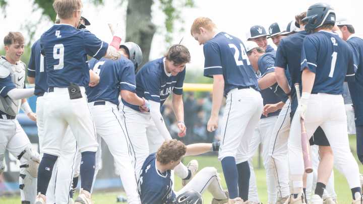 How did Lakeview, Gull Lake do in baseball district championships?