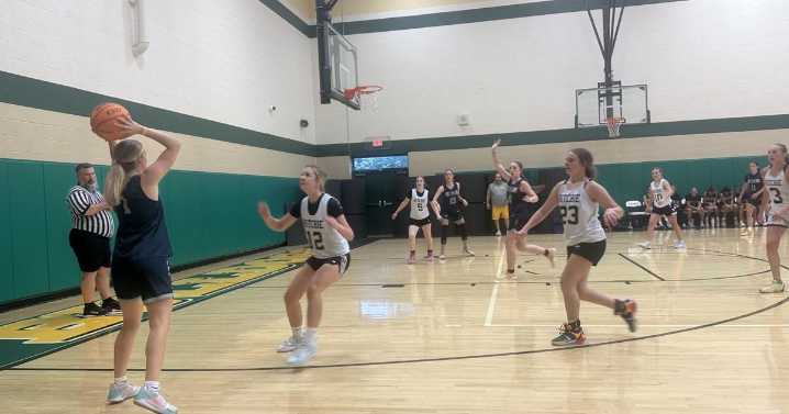 Bees take care of business in day 2 of summer league