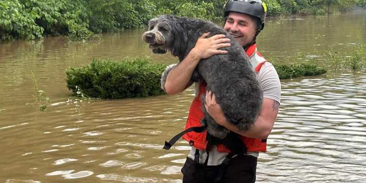 Water rescues conducted in western Pennsylvania amid flash flooding