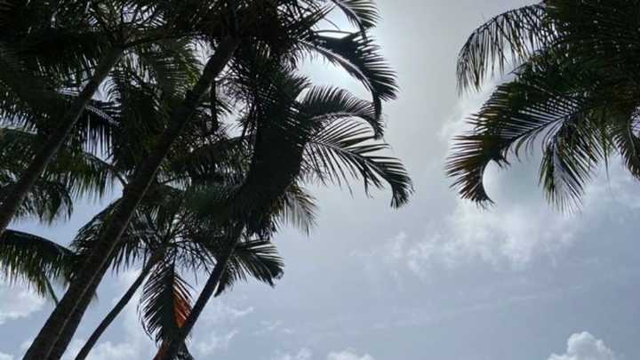 Hazy skies and limited rain chances Friday