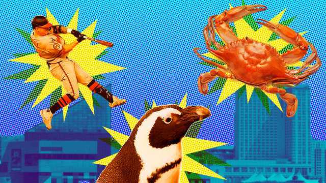 If you're visiting Baltimore, try these fun summer activities