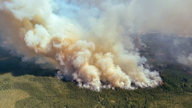 Air quality alerts issued across Ottawa area as wildfire smoke drifts east