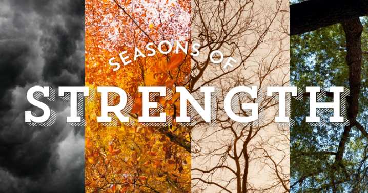Final call to share stories with Seasons of Strength tornado project
