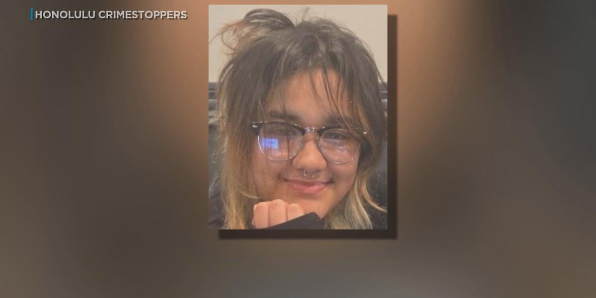 Search widens for missing woman last seen at Honolulu airport
