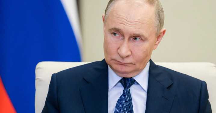 Mad Vlad already at war with Britain and US won't save us, expert says