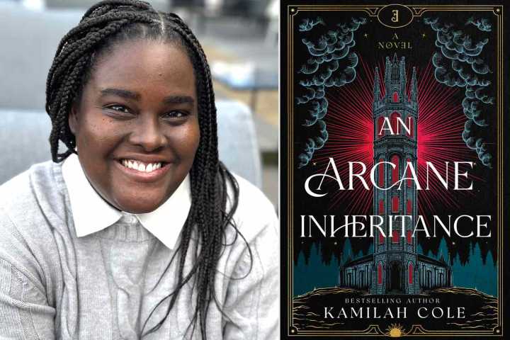 Adult Fantasy 'An Arcane Inheritance' to Debut in 2026: See the Cover! (Exclusive)