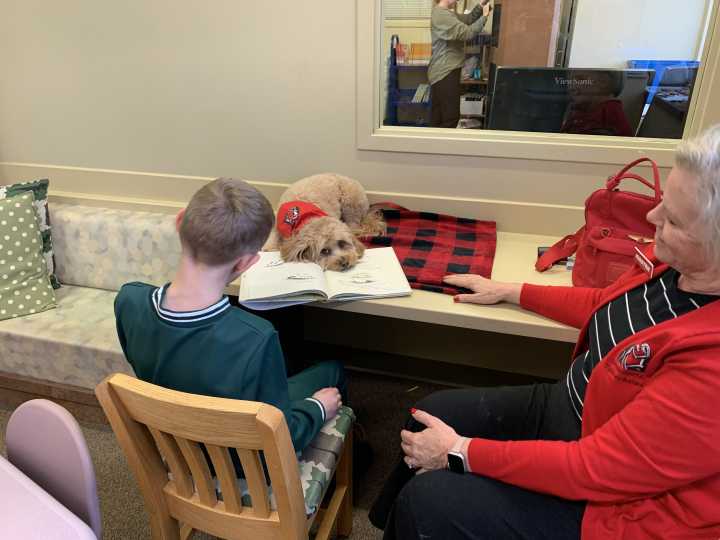 Pippi, a mini golden doodle, helps local children R.E.A.D.