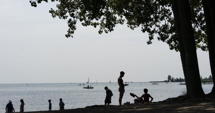 Toronto to fund more summer programs for youth aimed at violence prevention
