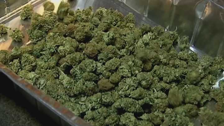 First Lottery Held for Cannabis License Applicants in Minnesota