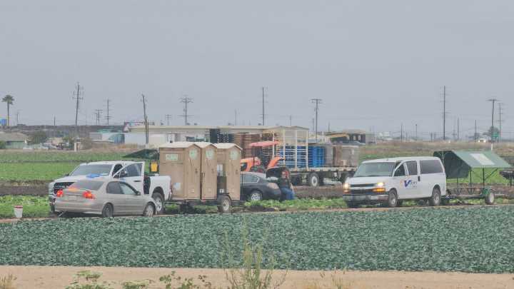 CAL/OSHA busca reforzar la seguridad de los trabajadores agrícolas con inspecciones proactivas