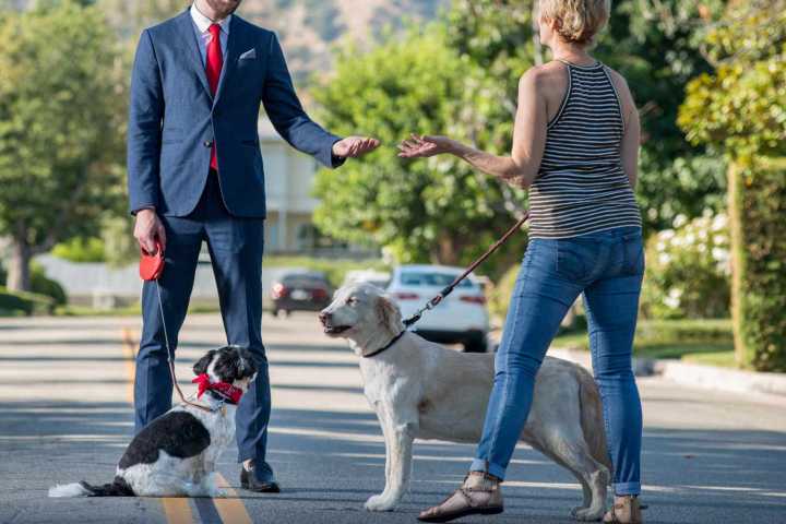 Woman ‘Upset’ Fellow Dog Walker After Ignoring Him for 2 Years