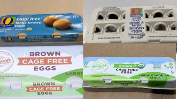 Salmonella outbreak linked to organic and cage-free eggs includes illnesses in Washington state