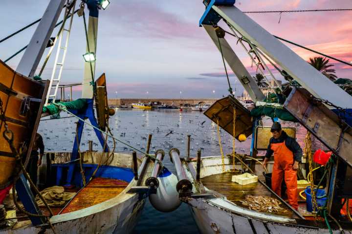 Top Ocean Experts Sound the Alarm Over Growing Marine Crisis Due To Climate Change