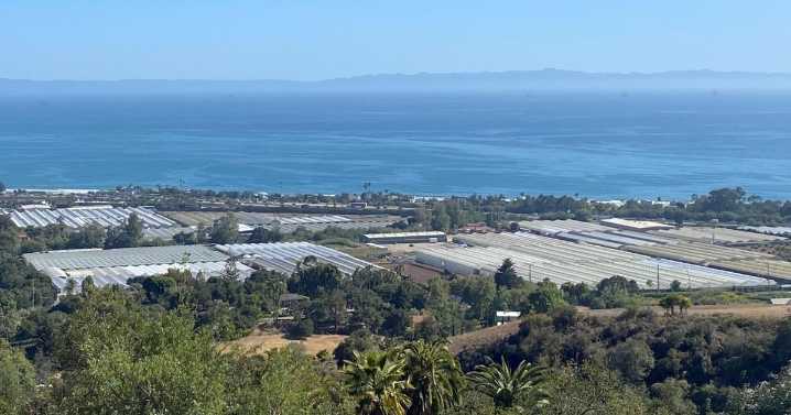 County supervisors cut $1.4M in cannabis