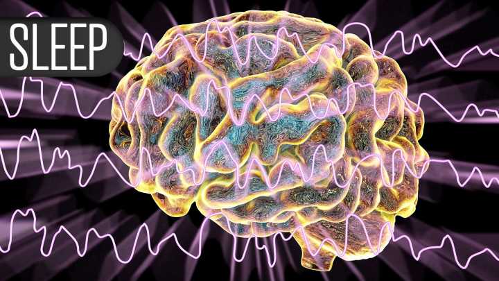 Late Dinner Bad for Metabolic Health Even With Later Bedtime