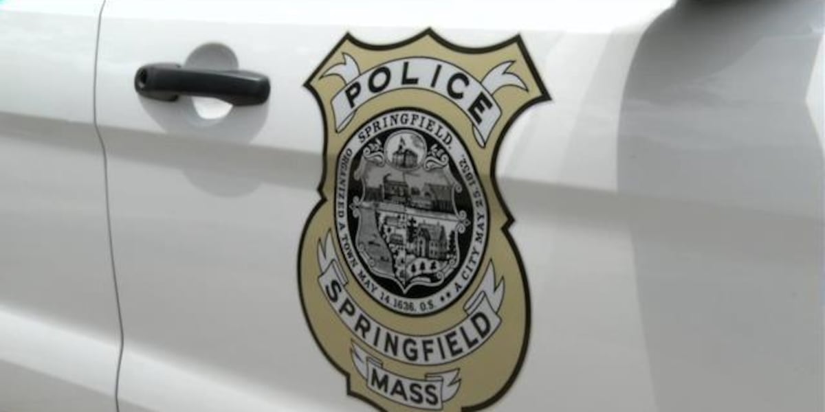 Suspect arrested after hours-long standoff in Springfield