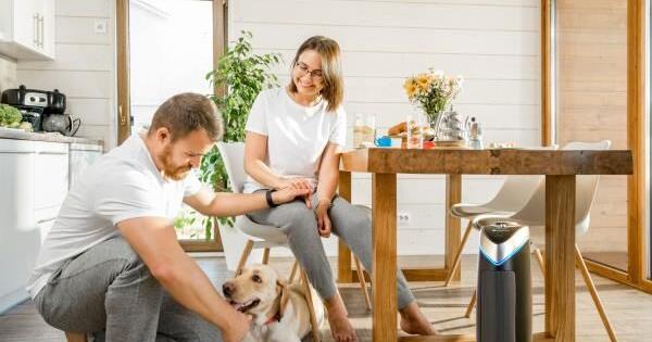 When Wildfires Strike, Use These Tips to Breathe Better at Home