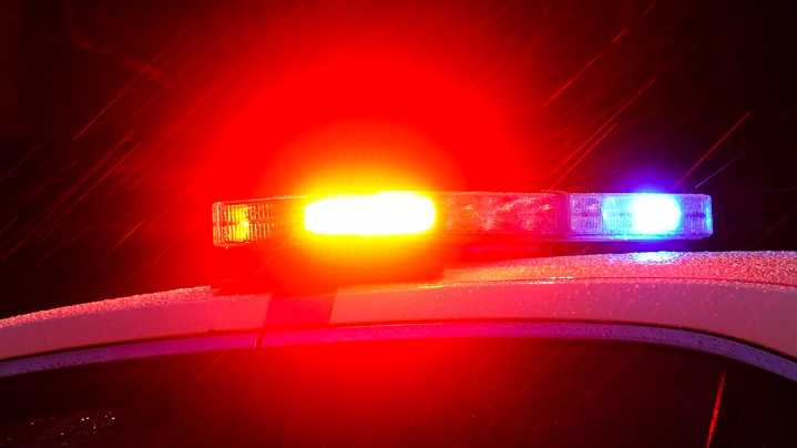 Two deputies hurt while capturing escaped Hall County inmate in South Carolina