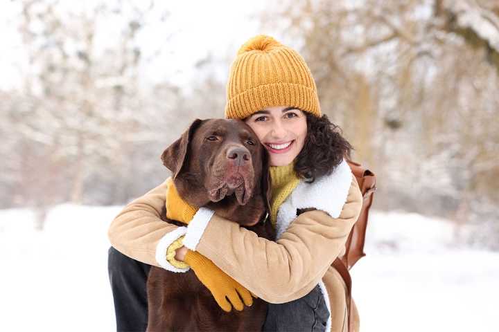 13 Irresistible Dog Breeds That Blend Charm & Loyalty
