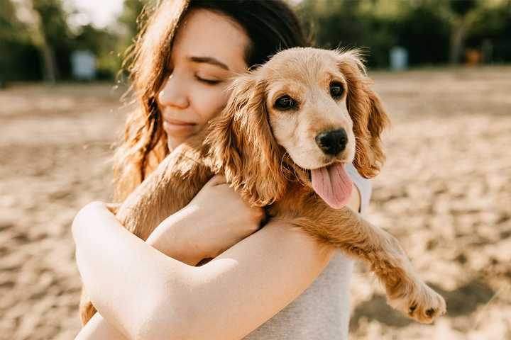 15 Affectionate Dog Breeds That Give the Best Cuddles