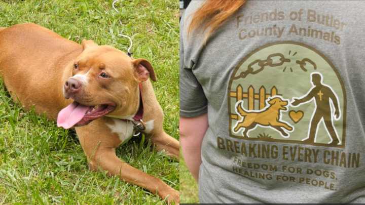 Butler County group helps animals and those recovering from addiction