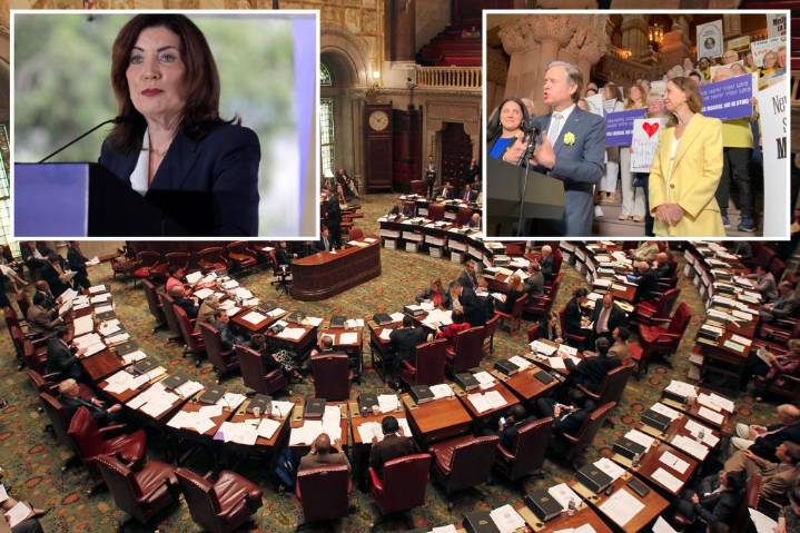 NY state Senate approves doctor-assisted suicide for terminally ill bill, sends it to Hochul's desk