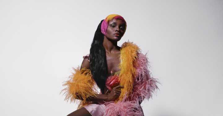 AMFA’s Kwame Brathwaite exhibition highlights Black portraiture