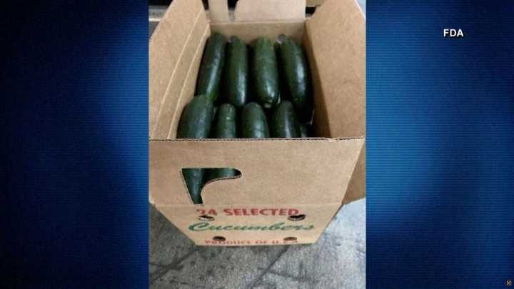 Dozens of people ill due to salmonella outbreak linked to recalled cucumbers