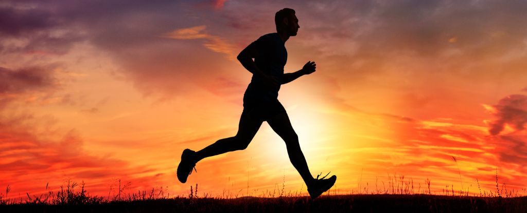 Regular Exercise Reduces Death From Colon Cancer by 37%, Study Finds