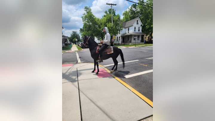 Visitor on horse helps police catch hit-and-run suspect in small NJ town