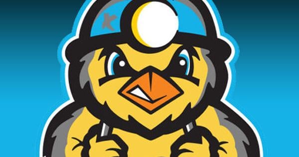 Atlantic League: Nelson round-tripper wins series for Dirty Birds