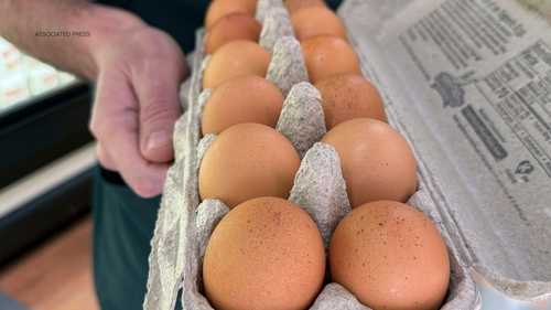 Brote de salmonela vinculado a huevos retirados enferma a docenas de personas en 7 estados: CDC