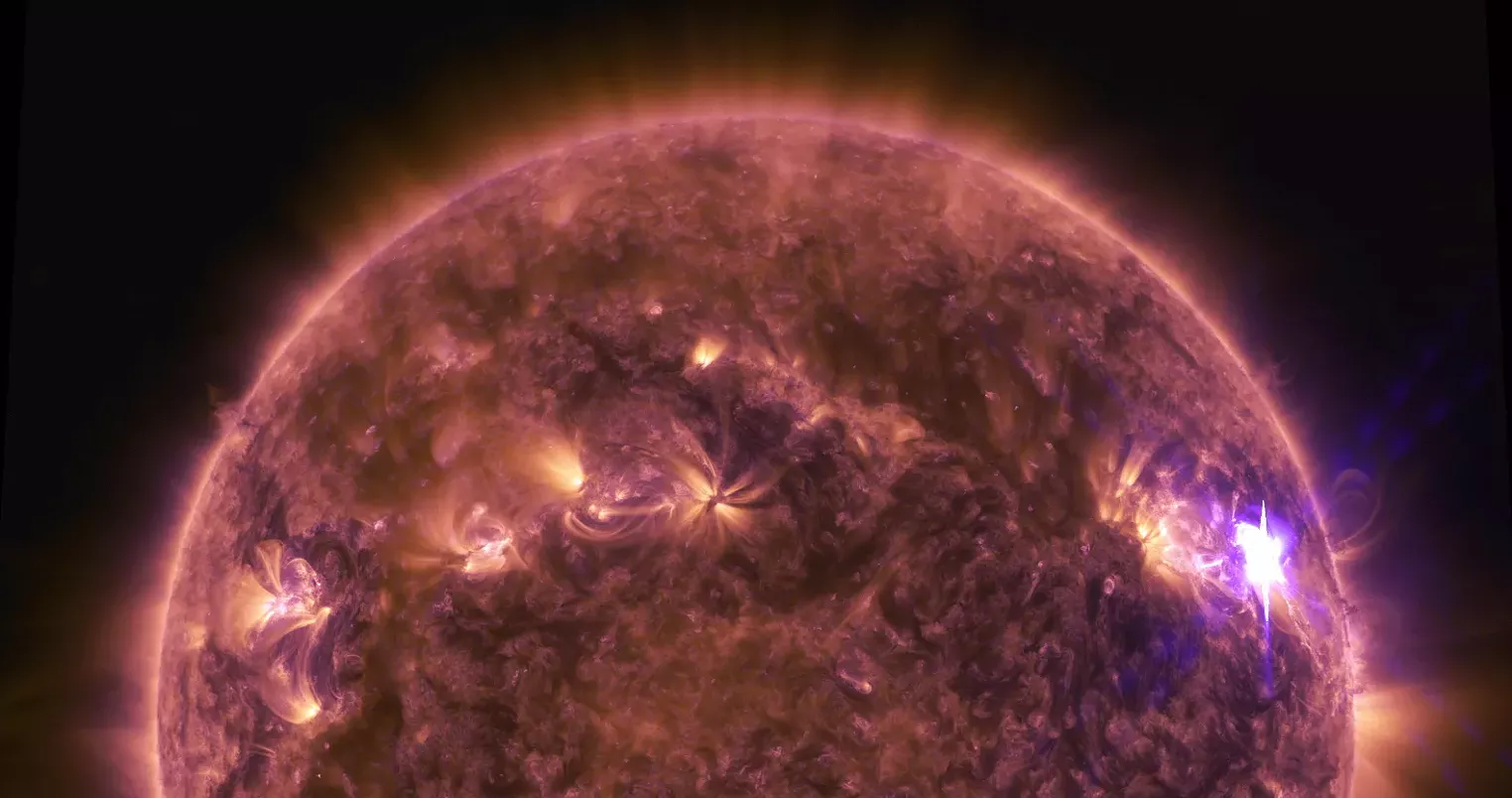 Column: Exodus From the Sun