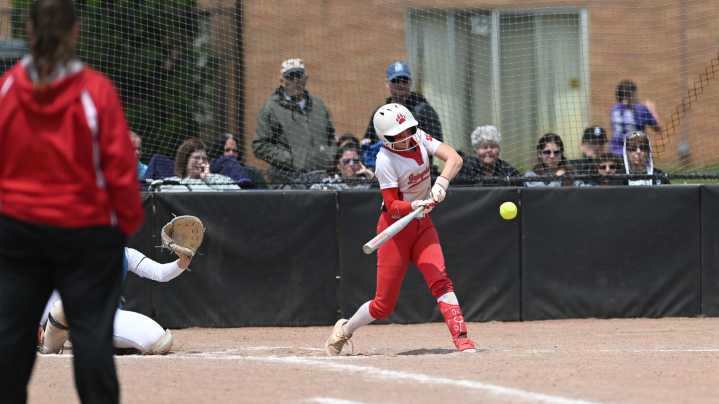 MHSAA softball regionals: See the Lansing area schedule
