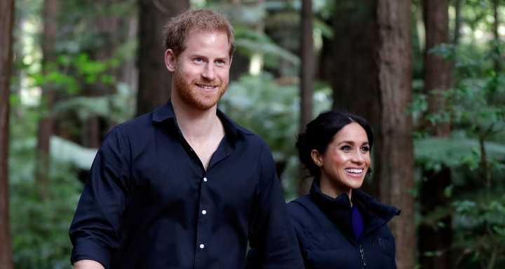 Meghan Markle Shares Fun Pictures & Videos at Disneyland with Prince Harry & Their Two Kids! | Archie Mountbatten-Windsor, Lilibet Mountbatten-Windsor, Meghan Markle, Prince Harry | Just Jared: Celebr