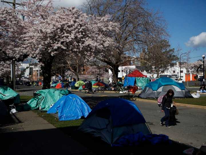 Victoria's Pandora Street is a hive of misery. But there's hope