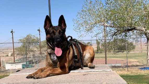 K-9 training track gets lift from Tramway donations