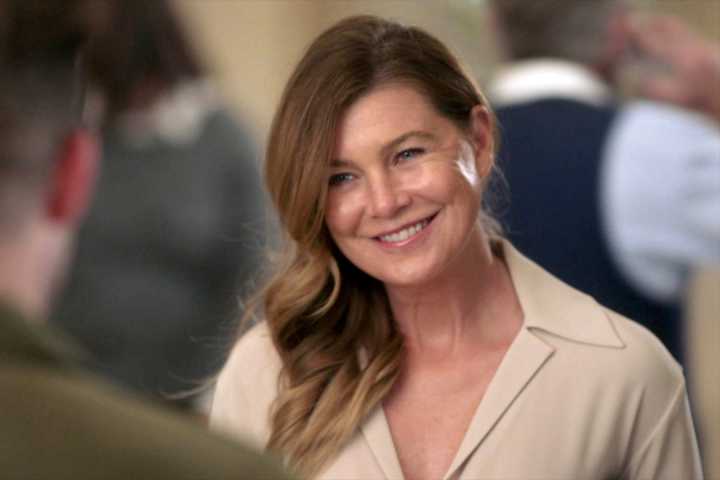 Ellen Pompeo says she was detained by TSA over sunflower seeds