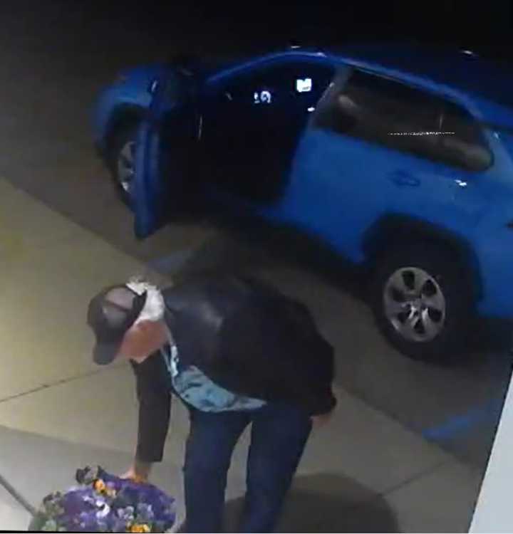 St. Clair Shores police work to identify plant thief