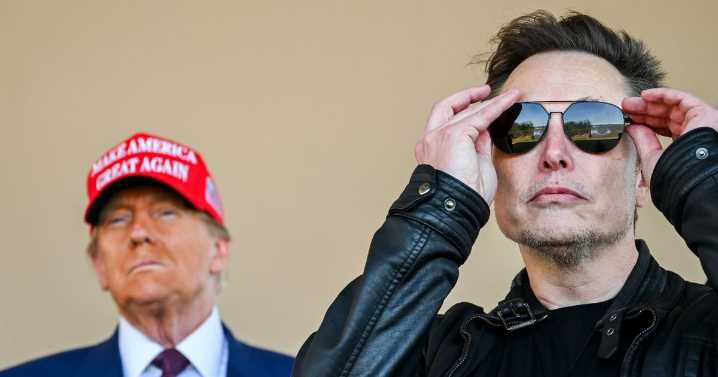 Musk and Trump branded 'absolutely childish and ridiculous' as bromance ends in chaos