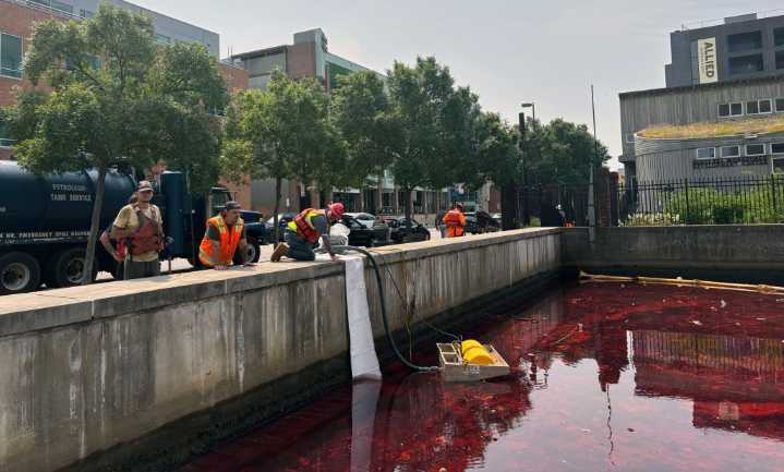 Cleanup of oil spill in Baltimore harbor | PHOTOS – Baltimore Sun