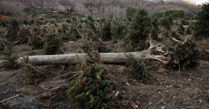 Former McDowell rep., camp owner: FEMA forgot western North Carolina, first responders didn’t