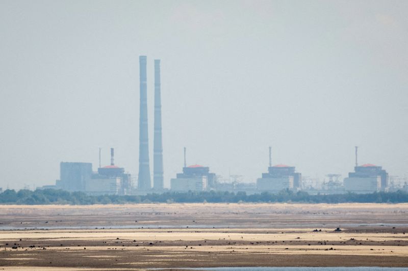 Russia asks UN agency to help solve question of US fuel at Ukraine nuclear plant