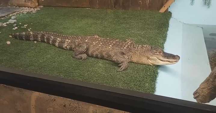 Twin Falls Zoological Center
