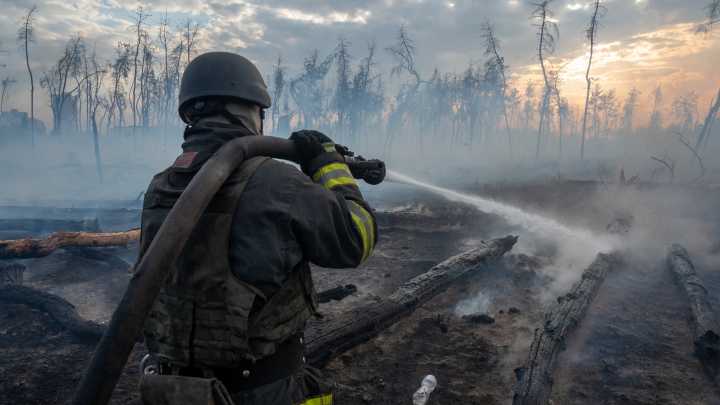 How 3 years of war have ravaged Ukraine’s forests, and the people who depend on them