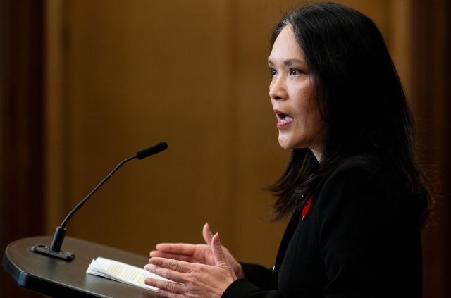 Border bill would allow cabinet to suspend immigration documents in an 'emergency'