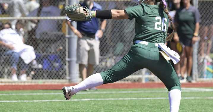 Pitchers headline LSWA Class 2A baseball/softball teams. See who made list