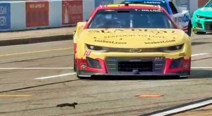 NASCAR Driver “Murdered A Squirrel” During Cup Race At Michigan