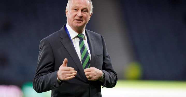 Michael O’Neill takes positives from Northern Ireland’s narrow defeat to Denmark