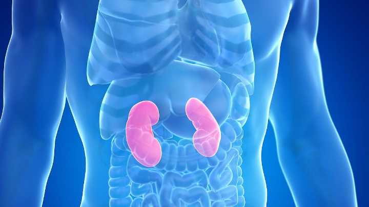 Early, Preemptive Kidney Transplant No Aid to Mortality